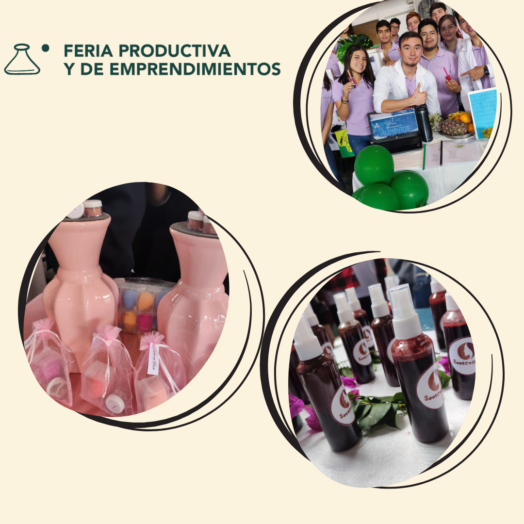proyectos.jpeg